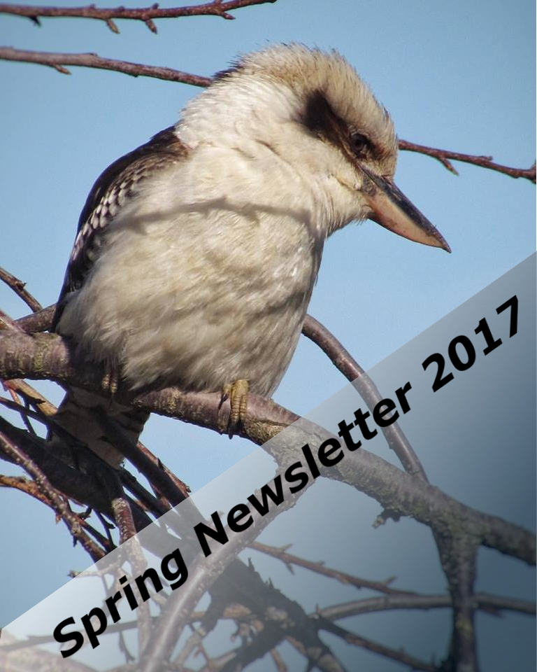 spring newsletter cover photo
